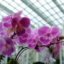 세보한의원 이미지