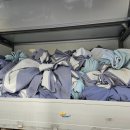 예스세탁 이미지