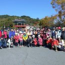 [10월30일(수)제445차] 경주 불국사~천년의 숲 정원 단풍여행 &🍁토함산 단풍 정기산행 이미지