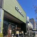 왕지1-4길 | 순천) 호수공원 신상 카페 &#39;콩카페&#39; 시그니처 코코넛 스무디 커피, 코코넛 연유커피 솔직후기