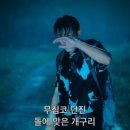 모모세탁소 이미지