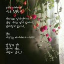 비도 이미지