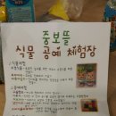 중보뜰 이미지