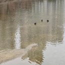 마치세월교 이미지