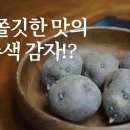 토종씨드림 유튜브 ＜키작은강낭콩&토종감자＞ 소개 이미지