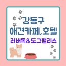 도그 팰리스 | 강동구 상일동 애견 호텔 러버독&amp; 도그팰리스 후기!