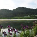 KGA명품