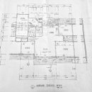 매화마을길(벌말로50번길) 이미지