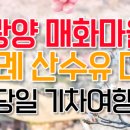 구례지리산리조트대중목욕탕 | [2026 구례 여행] 아이와 함께하는 노란 설렘, 산수유꽃축제 1박 2일 완벽 가이드 🌼