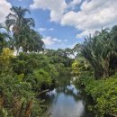 정원슈퍼 | [싱가포르 여행] 가든스 바이 더 베이 야외 산책: 열대 식물 정원 &amp; 슈퍼트리 그로브