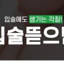더드림치과의원 이미지