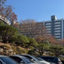 화정어린이도서관 화장실 | 김해 맘님들 주목! 칠암 도서관 재오픈 한데요. ‼️[김해 주말 나들이 갈만한 곳]