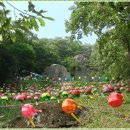 마애여래좌상 이미지