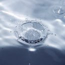 버들피리 이미지