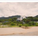 강아지천국 이미지