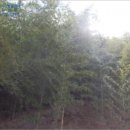 이현하이클래스웰가 이미지