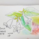 인동특장