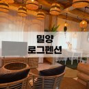 로그펜션 | 밀양 감성 숙소 '로그펜션' 다녀온 후기