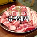 수원-1498 | 수원 금곡동 맛집 금곡돼지 호매실 고기집 추천 후기
