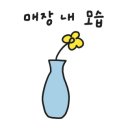 뷰티드플로르 이미지