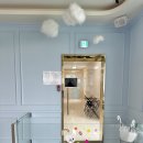 헤이퍼피 이미지