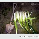 한솔이네농장 이미지