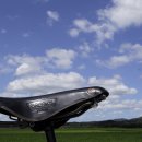 평화누리자전거길 이미지