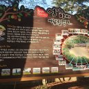 삼국유사 화본마을 영농조합법인 이미지