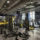 웰니스피티스튜디오 이미지