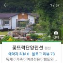 꽃뜨락단양민박 이미지