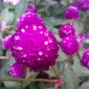 산양리 복지회관 이미지