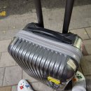 신항동 | 따소롬 그 자체🍊