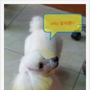 애경 동물병원 이미지