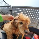 연초면사무소 이미지