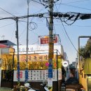 완월동246 이미지