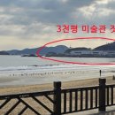 꿈꾸는 자작나무 이미지