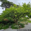 강릉성산 공인중개사사무소 이미지