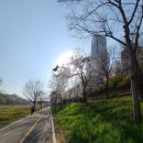 종로부동산공인중개사사무소 이미지