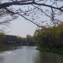 장자호수길 이미지