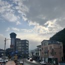 꿈의궁전호텔 | 강원도 동해 여행 (feat. 무릉별유천지 라벤더)