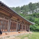 멍플 이미지