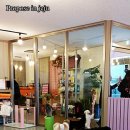 퍼피홀릭 제주 이미지