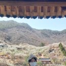 소울버드스냅 이미지