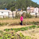 광도지구대 이미지