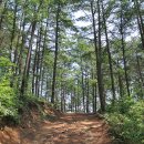 약초마을 이미지