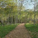 태백 관광지 투어 이미지