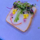 책놀이지도사자격증반 이미지