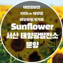 해피태양광발전소 이미지