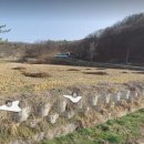마론컨트리클럽 | 북면 납안리 농지 매매/ 마론컨트리 클럽 인근 저렴한 계획관리지역