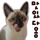 투썸플레이스별내송산로점